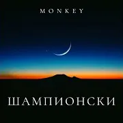 Monkey — Шампионски